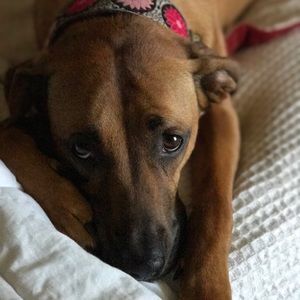 Meet your Posher, Jennifer